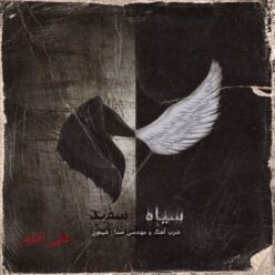 دانلود آهنگ علی امام سیاه سفید